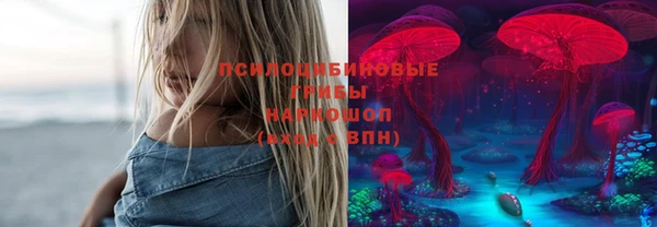 прущая мука Алзамай