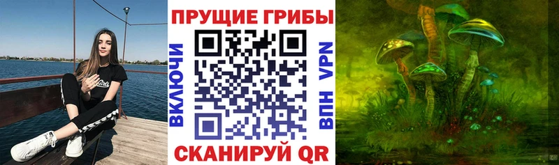 Галлюциногенные грибы Magic Shrooms Новоаннинский